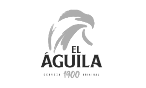 Mesa de trabajo 1 copia 2